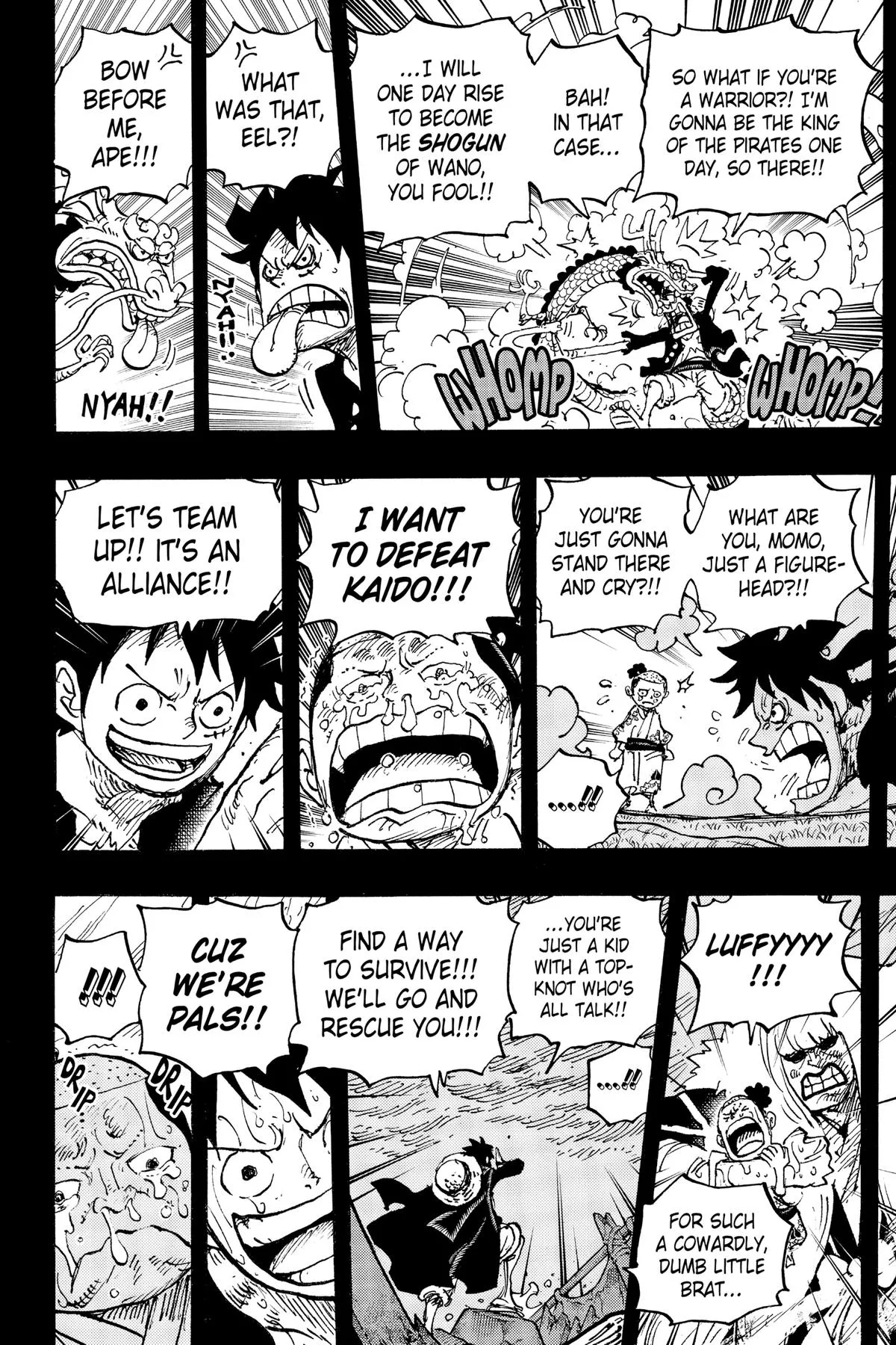 monkey.d luffy fight scene chapter 1057