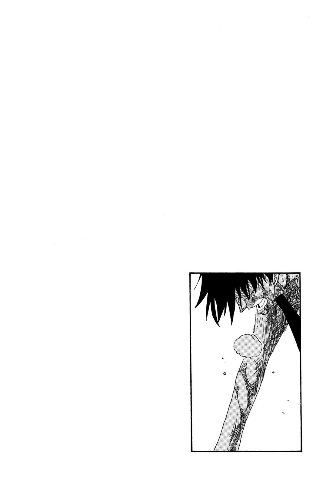 zoro fight chapter 209