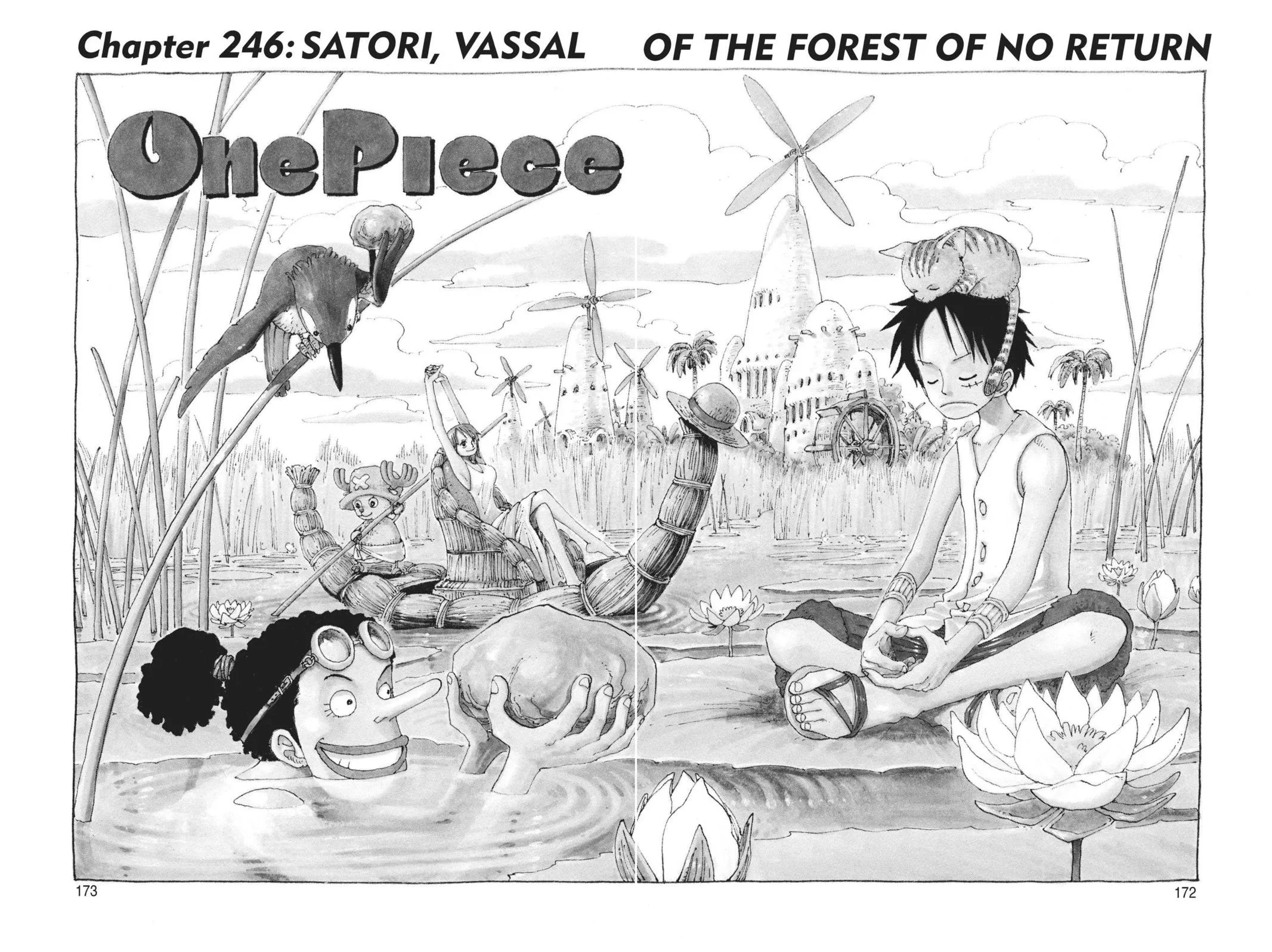 One Piece Manga 246