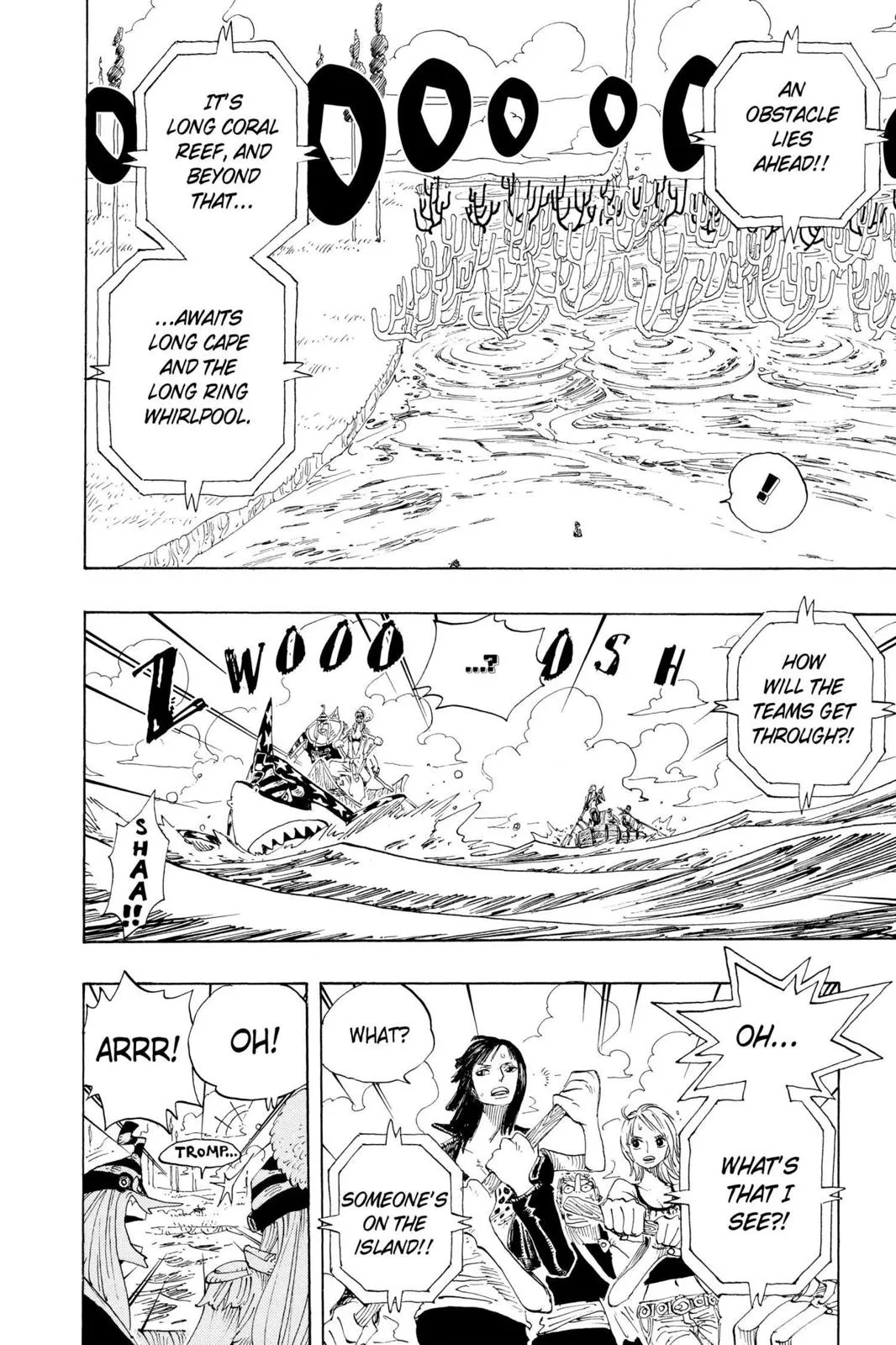 zoro fight chapter 307