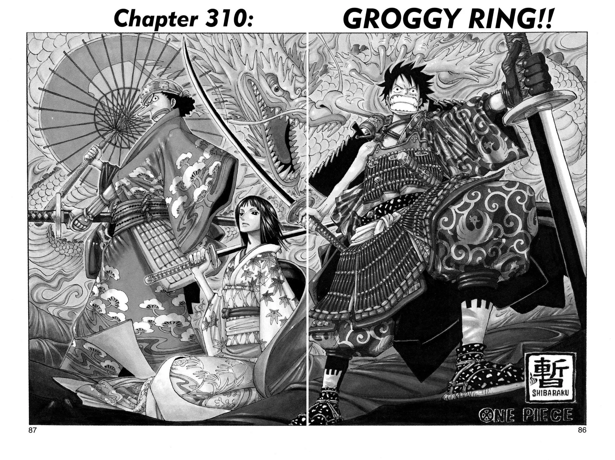 One Piece Manga 310