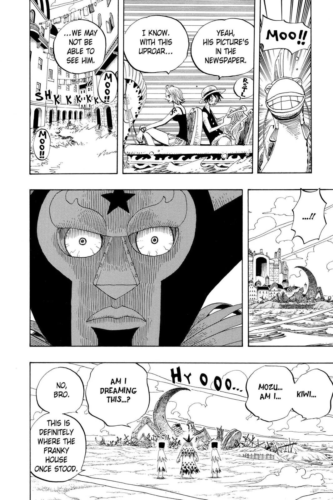 zoro fight chapter 334