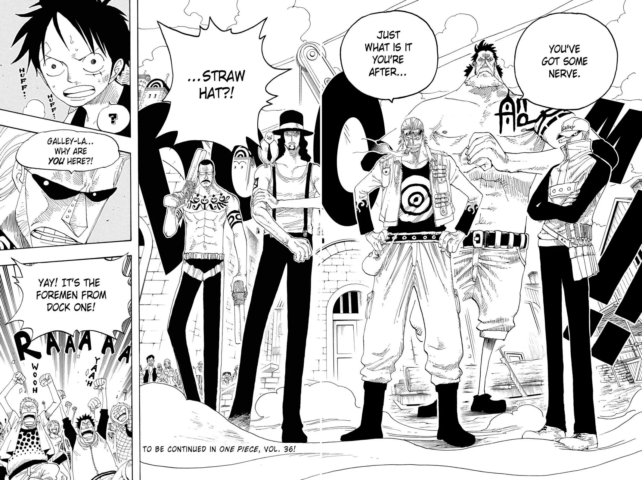 zoro fight chapter 336
