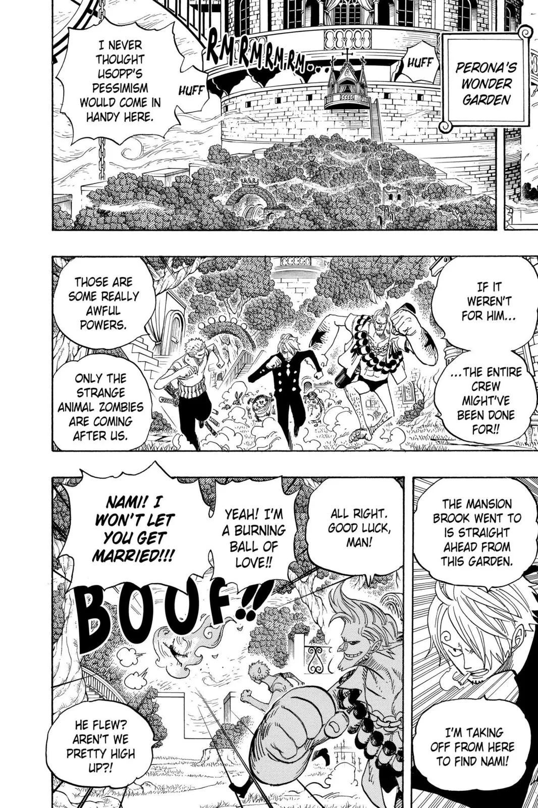 monkey.d luffy fight scene chapter 462
