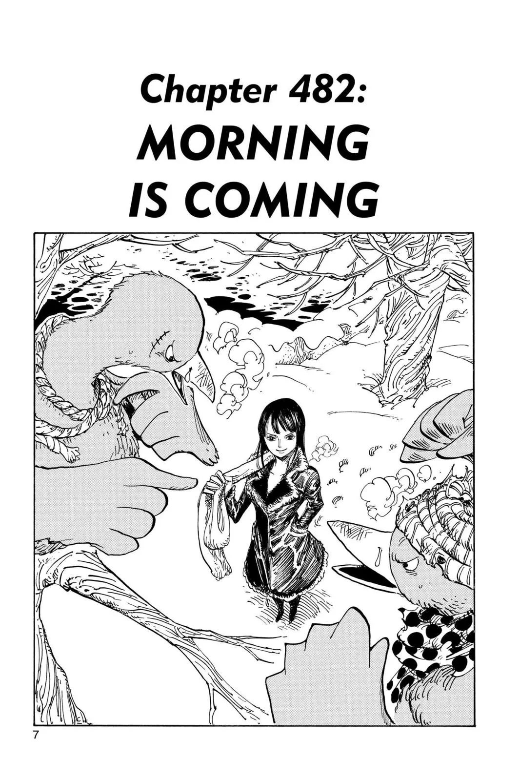 zoro fight chapter 482