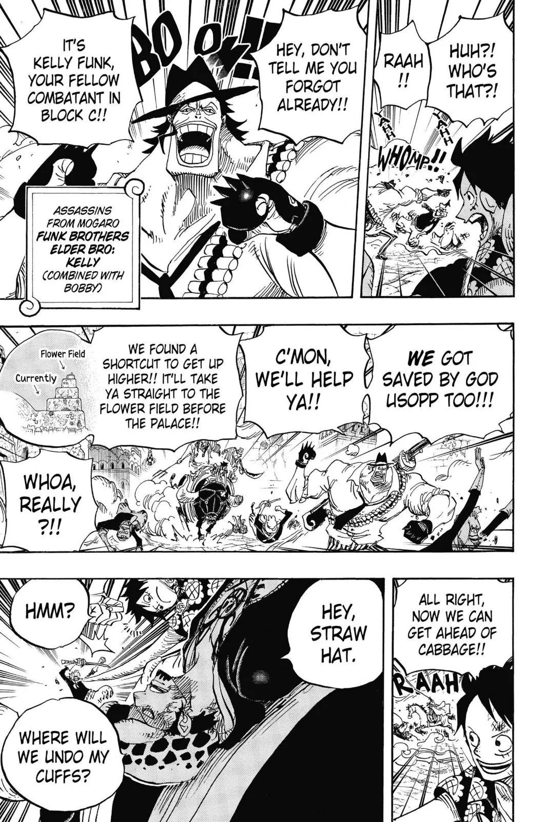 one piece Chapter 751 manga panel