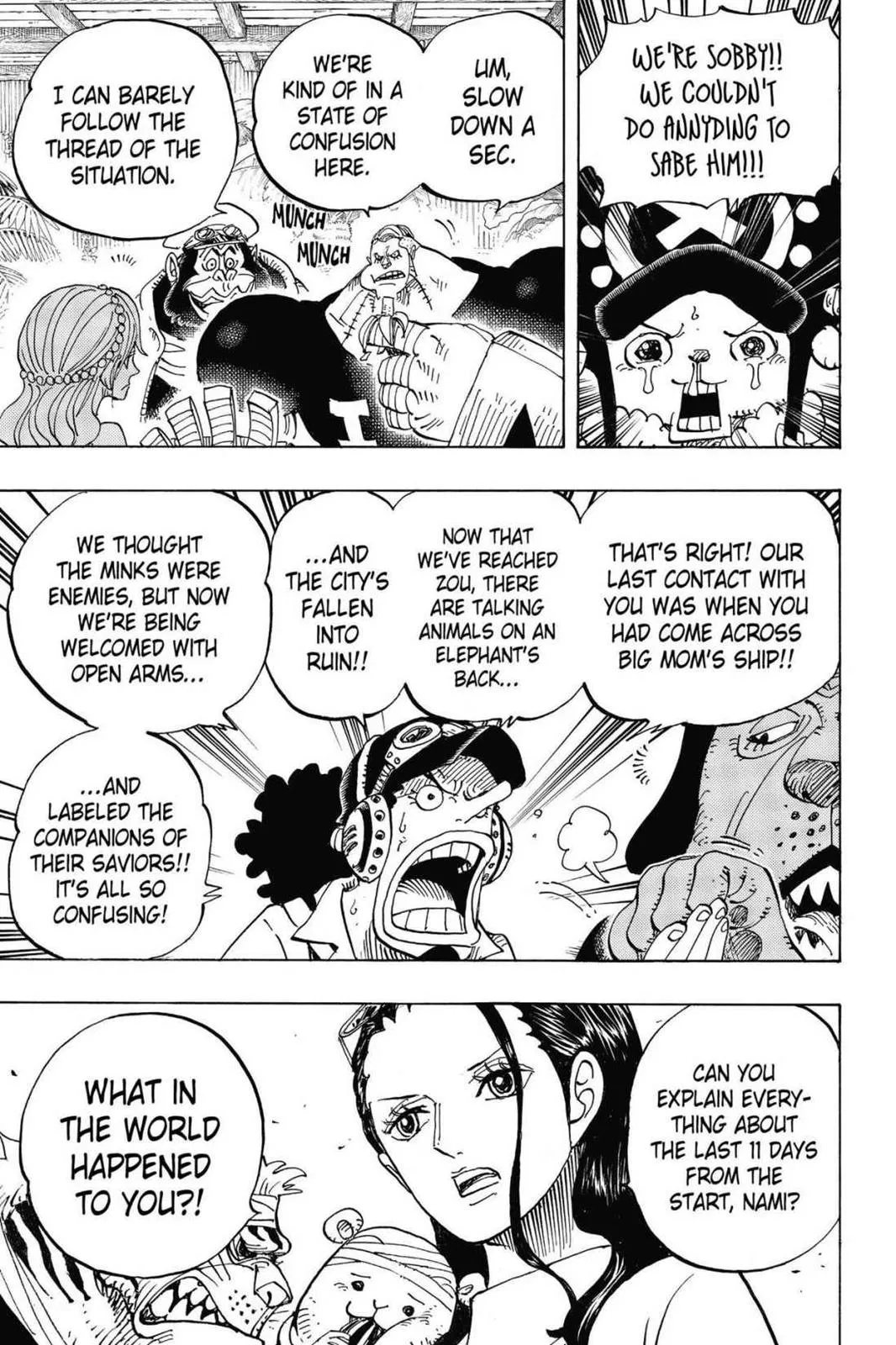 One Piece Manga 807