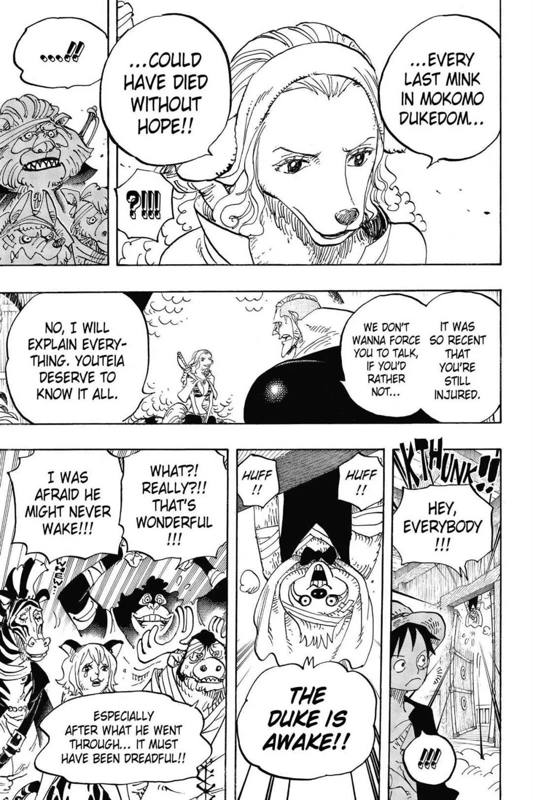 zoro fight chapter 807