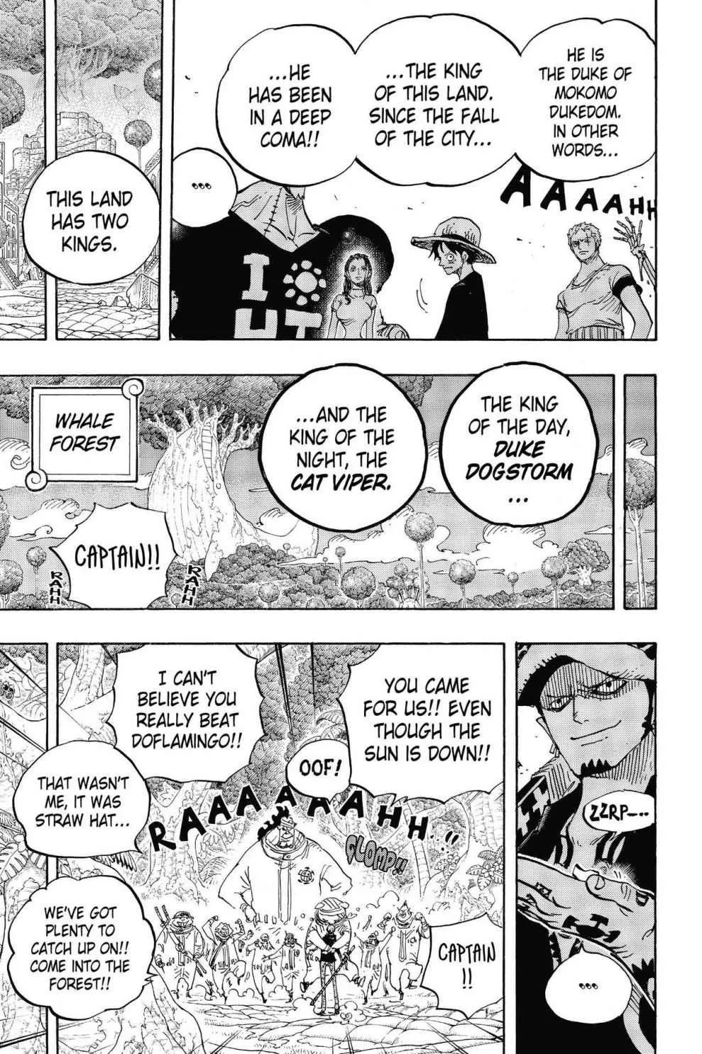 one piece